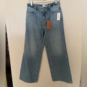 PacSun Rare Dnm Edit low rise baggy jeans size 27 short
